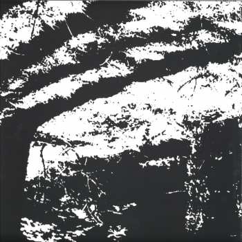 Album Reggy Van Oers: Transcranial