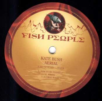 6LP/Caja Kate Bush: Remastered In Vinyl III