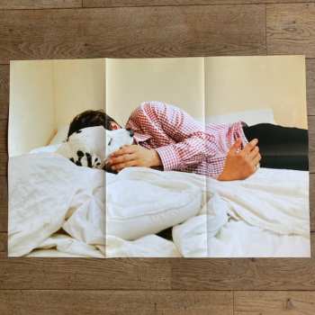 LP Rex Orange County: Who Cares?