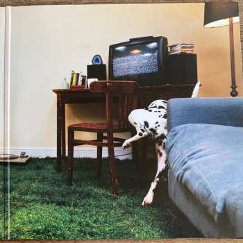 LP Rex Orange County: Who Cares?