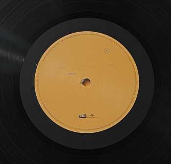 LP Rhove: Popolari