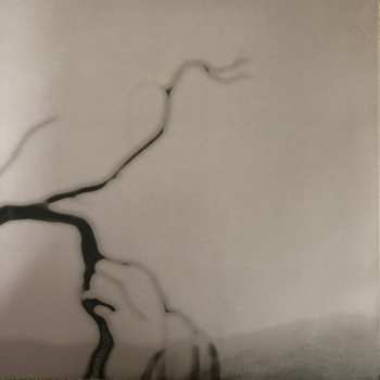 2LP Rhye: Blood Remixed CLR