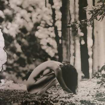 2LP Rhye: Blood Remixed CLR