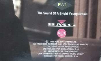 LP Rick Astley: Hold Me In Your Arms