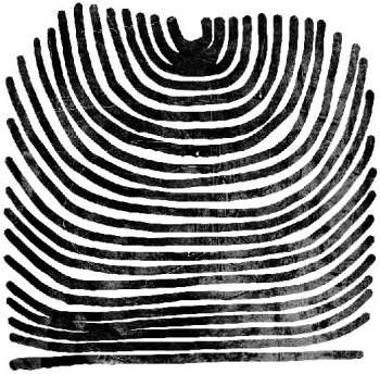 2LP Rival Consoles: Howl CLR | LTD