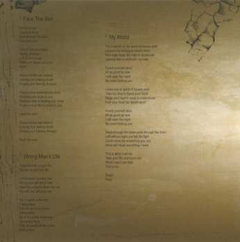 CD Roarback: Echoes Of Pain