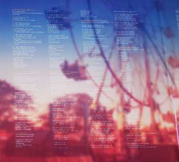 2LP Robert Plant: Raise The Roof