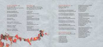 CD Robert Plant: Band Of Joy