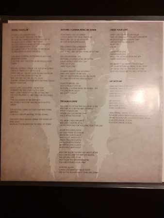 LP/CD Rock Wolves: Rock Wolves CLR