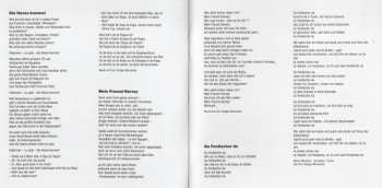 CD Rodgau Monotones: Ein Schönes Durcheinander