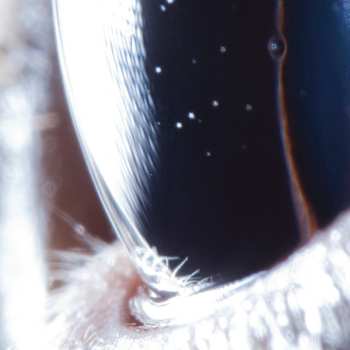 2LP Roly Porter: Third Law