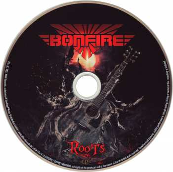2CD Bonfire: Roots