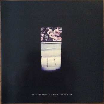 LP Rose Cousins: Bravado