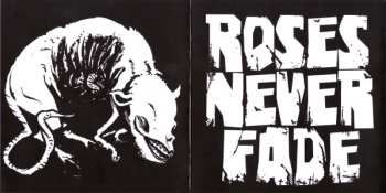 CD Roses Never Fade: Roses Never Fade
