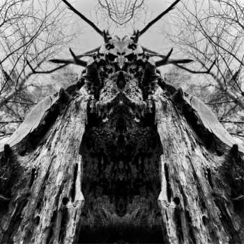 LP Rulaman: To Serve The Dune LTD | CLR