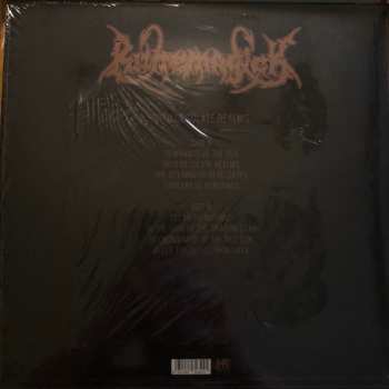 LP Runemagick: Into Desolate Realms LTD | CLR