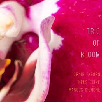 CD Russ Freeman: Trio Of Bloom