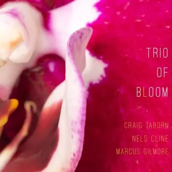 Trio