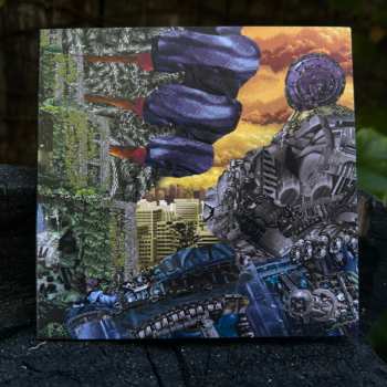 CD RXM Reality: No. 1 In The World