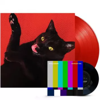 Ryan Adams: Big Colors