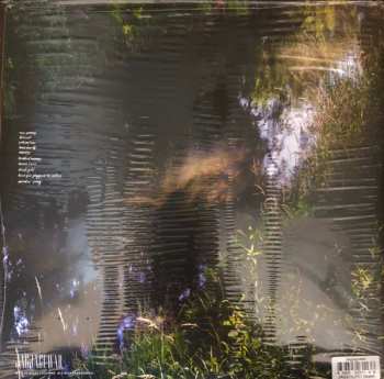 LP S. Carey: Hundred Acres  LTD | CLR