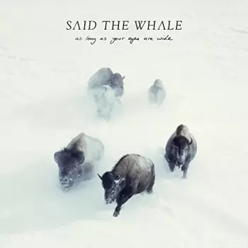 Said The Whale: As Long As Your Eyers Are Wide
