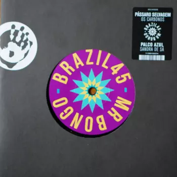 Palco Azul / Passaro Selvagem