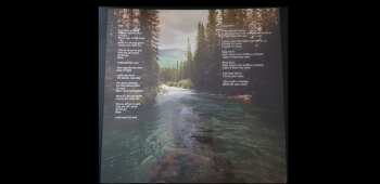 LP Sarah Longfield: Disparity LTD