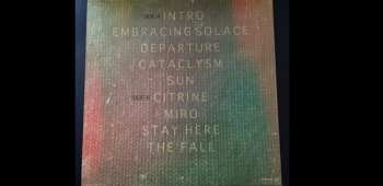 LP Sarah Longfield: Disparity LTD