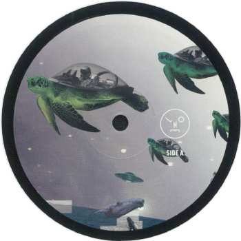 LP Sasha: How To Wear Raybans Well NUM