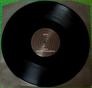2LP Saver: They Came With Sunlight