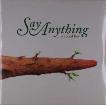 Album Say Anything: ...Is A Real Boy