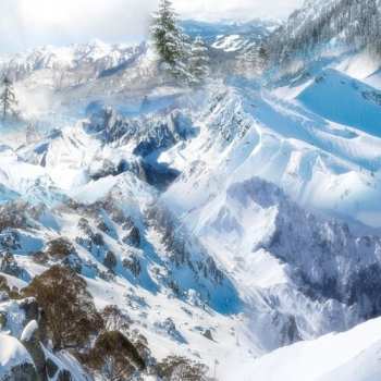 LP Schntzl: Holiday LTD