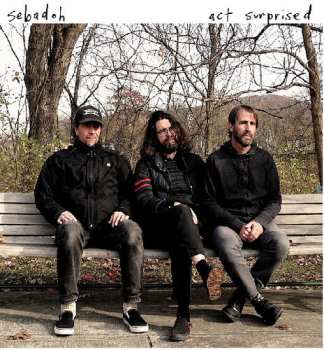 CD Sebadoh: Act Surprised DIGI