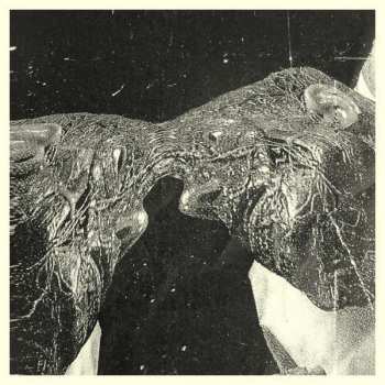 Album Secret Boyfriend: Memory Care Unit