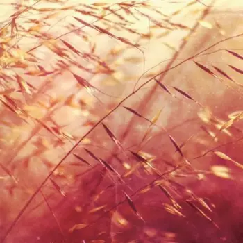 Secret Pyramid: Two Shadows Collide