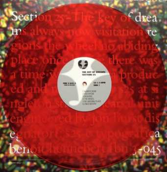 5LP/Caja Section 25: Always Now DLX | LTD | CLR