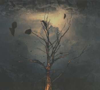 CD Sede Vacante: Conium LTD | DIGI