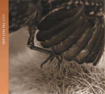 4CD/Caja Eagles: Selected Works 1972-1999