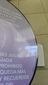 2LP Selena: Ones PIC