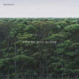 CD Semisonic: You're Not Alone 
