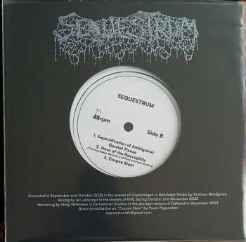  Sněť: Sn​ě​ť / Sequestrum Split LTD