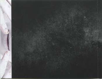 CD Seventh Veil: Vox Animae