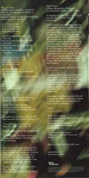 CD S.G. Goodman: Old Time Feeling