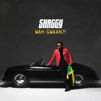 2LP Shaggy: Wah Gwaan?! CLR