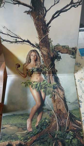 2LP Shakira: Oral Fixation Vol. 2 (20th Anniversary Edition)