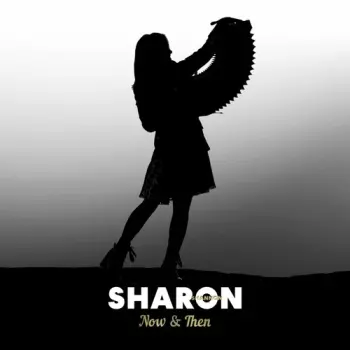 Shannon,sharon: Now & Then: A Retrospective Box Set