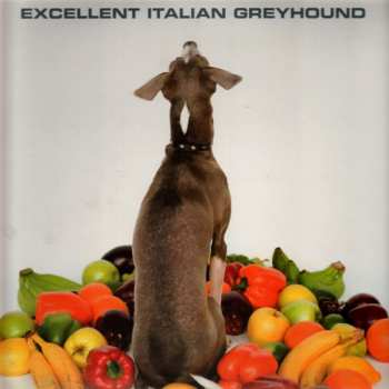LP Shellac: Excellent Italian Greyhound