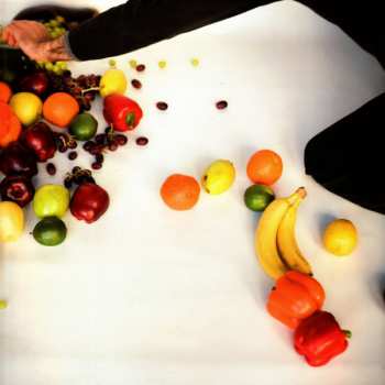 LP Shellac: Excellent Italian Greyhound