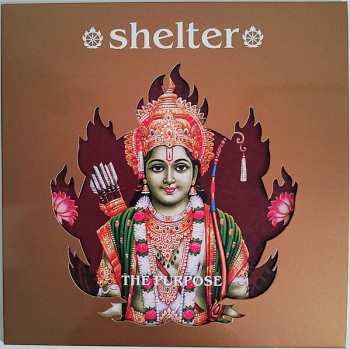 LP Shelter: The Purpose, The Passion LTD | PIC